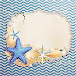Vintage greeting card with shells and starfishes and place for text.