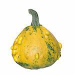 yellow pumpkin on ehite background