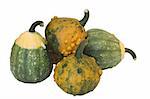 five pumpkin on white background