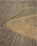 Brown background of plowed field with interesting pattern