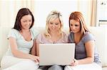 Cute women sitting on a sofa with a laptop in a living room