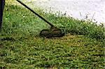 Close-up lawn mower triming grass near a road.