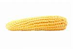 variety of corn - corn on the cob yellow