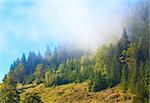 Misty daybreak in summer Carpathian mountain, Ukraine (with ascending mist clouds).