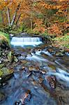 Rocky Stream, Running Through Autumn Mountain Forest