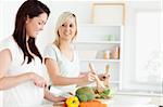 Cheerful Women preparing dinner in a kitchen
