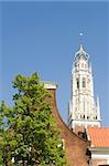 A white clock tower, a typical Dutch gable and a lush tree against a blue sky.