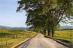 Cades Cove in Great Smokey Mountains National Park, Tennessee