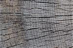 close up of a torn wood from a bole