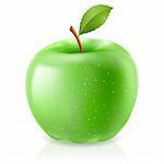 Green Apple. Illustration on white background