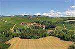 View on beautiful hills and vineyards of Langhe area in Piedmont, Italy.