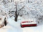 Car cover by snow under winter tree