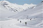 Arctic ski marathon - Longyearbyen, Svalbard