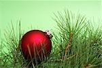 A red Christmas bauble resting on a pine tree branch with a green background for the holiday season.