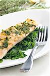 grilled salmon with herbs on fried spinach