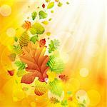 Autumn background with colorful leaves and place for text. Vector illustration.