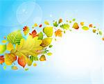 Autumn background with colorful leaves on blue and place for text. Vector illustration.