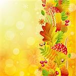 Autumn background with colorful leaves. Vector illustration.