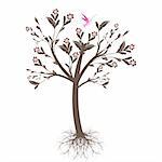 Beautiful art tree with roots isolated on white background