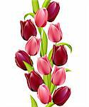 Vertical seamless pattern made of tulips on white background