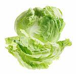 Iceberg Lettuce on White Background