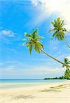 Tropical beach at Seychelles - vacation background