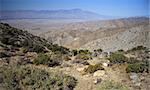 Scenic Vista, Joshua Tree National Park, California