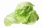 Iceberg Lettuce on White Background