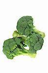 Broccoli Florets on White Background