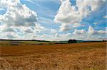 Paysage rural - terrain agricole récolté et ciel bleu