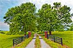 Entrance gate to a long country driveway