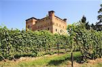 Old castle of Grinzane Cavour as seen through vineyards in Piedmont, northern Italy.