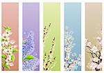 Collection of blossoming branches on different backgrounds