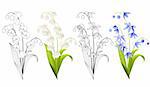 Collection of spring flowers isolated on white background. Colour and contour versions.
