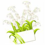 Blank visitcard with bunch of lilies of the valley isolated