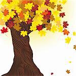 Beautiful autumn tree vector. Maple background. Design element. Fall illustration.