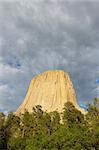 Devils Tower National Monument rises above the forests of northeastern Wyoming.