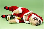 Small Dog In Santa Costume Lying Down With Champagne and Shades