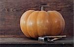 Pumpkin with garden tools on the wooden background