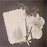 Vintage card with orchid in sepia color