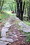 view of a Forest trail in late summer, family walking in background