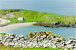 Laid at Loch Eriboll, Highlands, Scotland