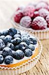 Closeup of fancy gourmet fresh fruit dessert tarts