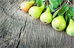 Freshly harvested pears on old wooden background