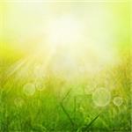 Spring or summer heat abstract nature background with grass in the meadow and sunset with sun beams and bokeh lights in the back. View over field into sunshine