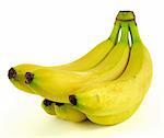 Fresh ripe bunch of delicious bananas over white background
