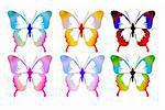 Multi-colored butterflies on a white background sequence.