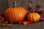 Harvested pumpkins on wood table with dark background