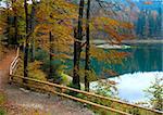 Mountain Synevir lake view through autumn tree twigs