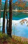 Mountain Synevir lake viev through autumn tree twigs